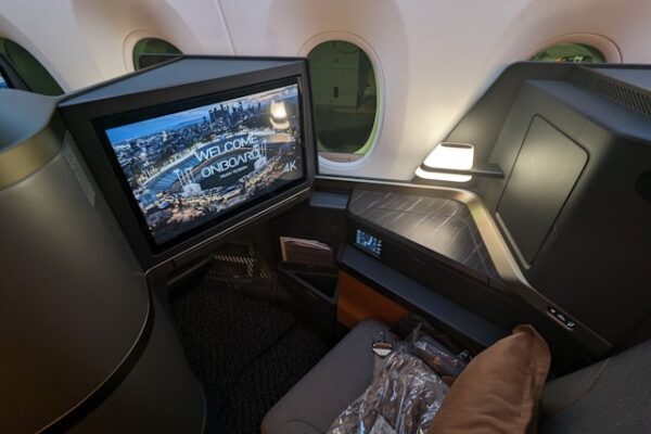 Пассажира бизнес-класса посадили за кражу